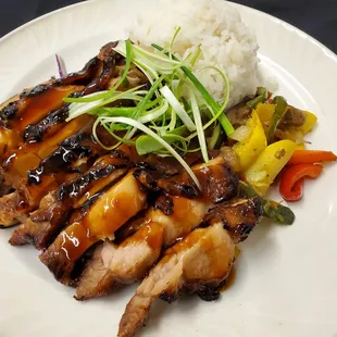 Teriyaki Chicken. Chicken marinated in our teriyaki sauce, grilled, sliced, served with sauce and chopped green onions.