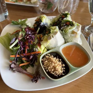 Vegetarian Fresh Summer Rolls