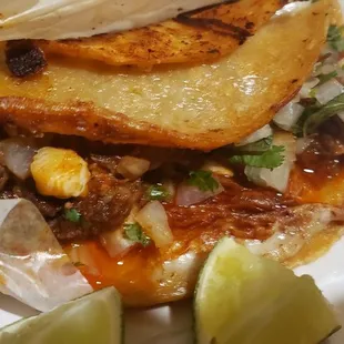 QuesaBirria Tacos - large portions of juicy meat with onion and cilantro.