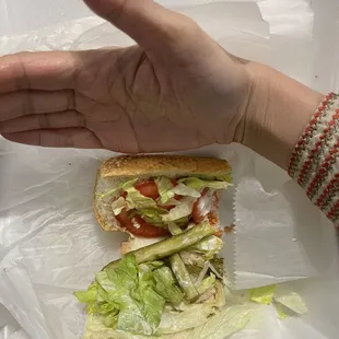 Smaller than half my hand!