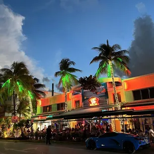 palm trees and neon lights