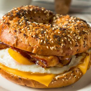 bacon, egg, and cheese sandwich