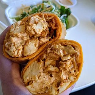 Buffalo chicken wrap and side salad