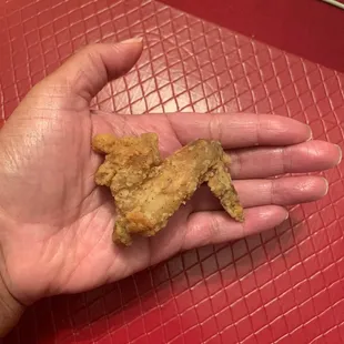 a hand holding a piece of fried chicken