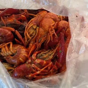 lobsters in a plastic bag