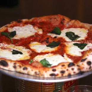 Margherita Pizza