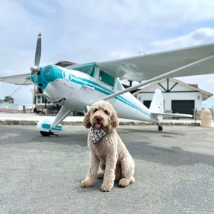 Puccini loves Maniac Mikes