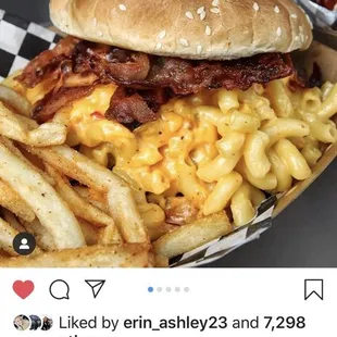 a sandwich and fries