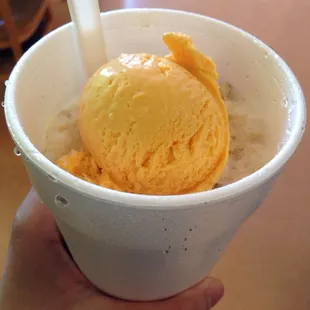 Halo Halo