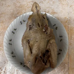 Chicken