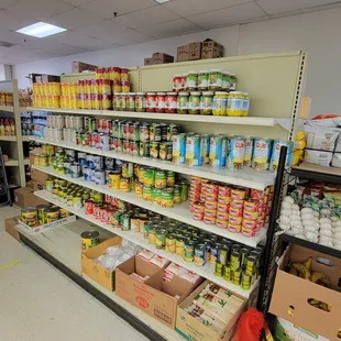 View from the back of the store towards the front in aisle 1, right side.