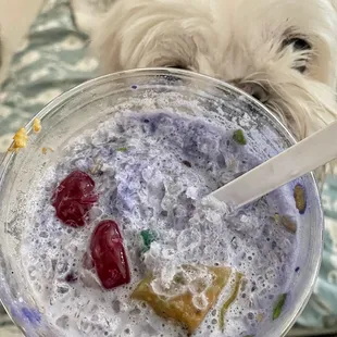 Halo Halo