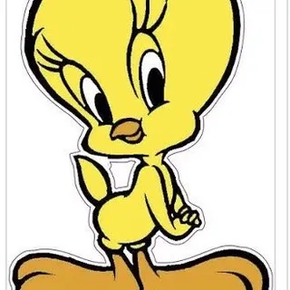 Tweety S.