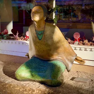 Dreams in Flight by Liz Wolf