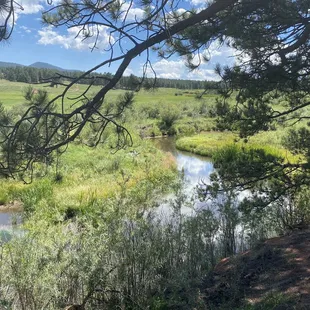 View off the short trail to the left of the bridge