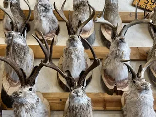 Ruxton's Trading Post