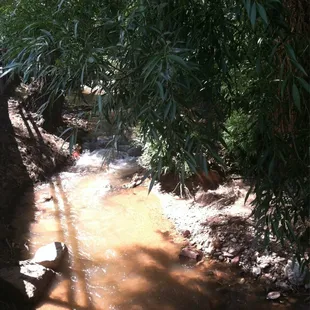 Pretty creek that runs through the town