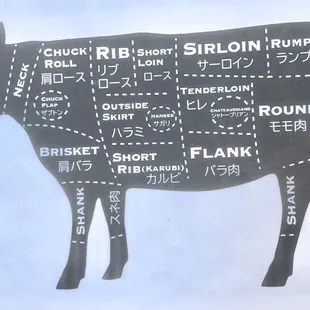 a diagram of a cow