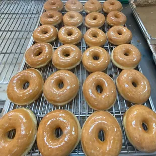 Glaze Raised Donuts