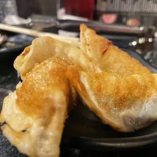 Gyoza