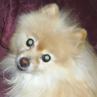 Lisa M.