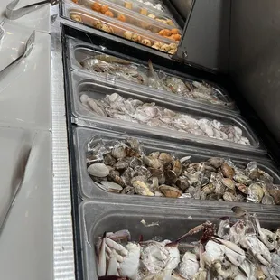 oysters and mussels
