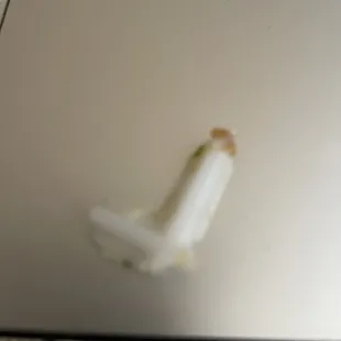 Plastic found inside spring roll