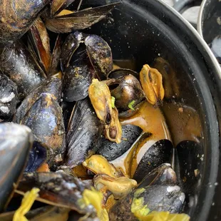 mussels in a pot
