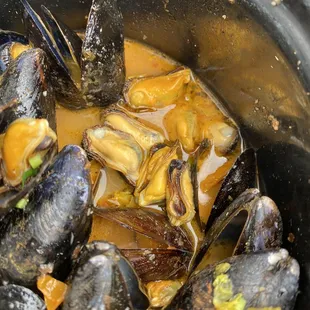 oysters, mussels, shellfish, food, oysters and mussels
