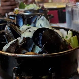 The Brussels! Mussels and beer with goat  cheese and broth!
