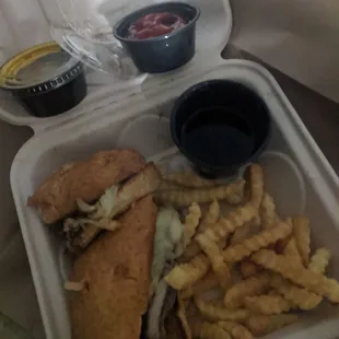 Philly Steak and fries