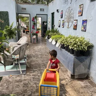 Even have many kid's carts for little shopper.