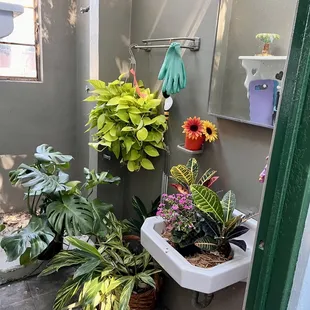 Bathroom of plants.