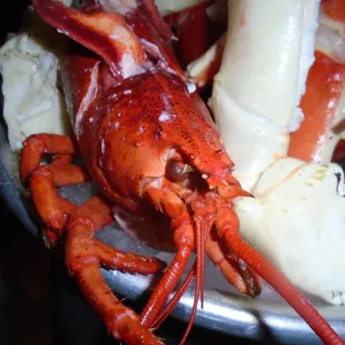 A lobster - looking back at me from the top of the seafood tower!