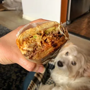 Manny's Special Torta - soooo good &amp; my dog is soooo jealous