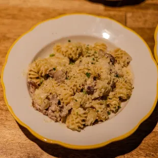Radiatorre pasta with truffle white sauce and bacon