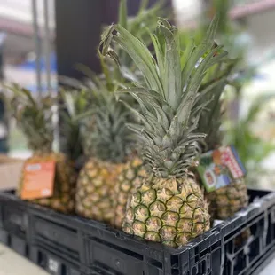 Dole pineapple