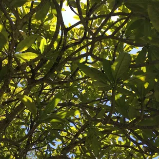 Beautiful views throughout the property