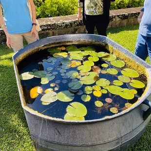 Iron blubber pot used on whaling ships