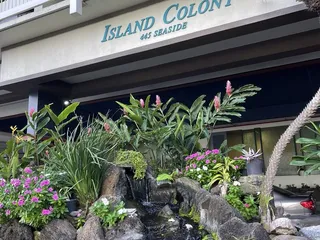 Island Colony Partners