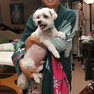 Sunny the Maltese is our Mascot!