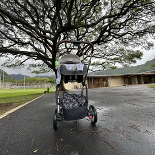 Manoa Valley District Park