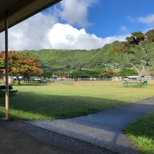 Beautiful Manoa valley