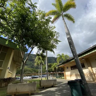 Manoa Valley District Park