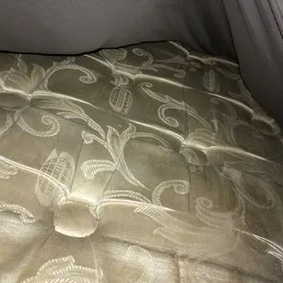 Dirty gross bedbug bed