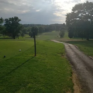 a golf ball on the course