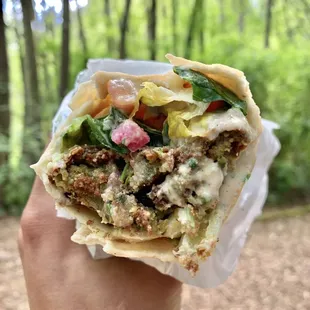 Falafel Sandwich