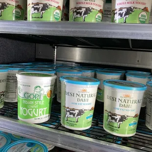 a shelf of yogurt