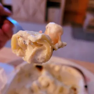 Shrimp Tortellini in Alfredo sauce.