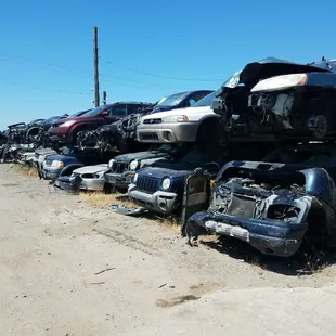 Yard full of all make and model